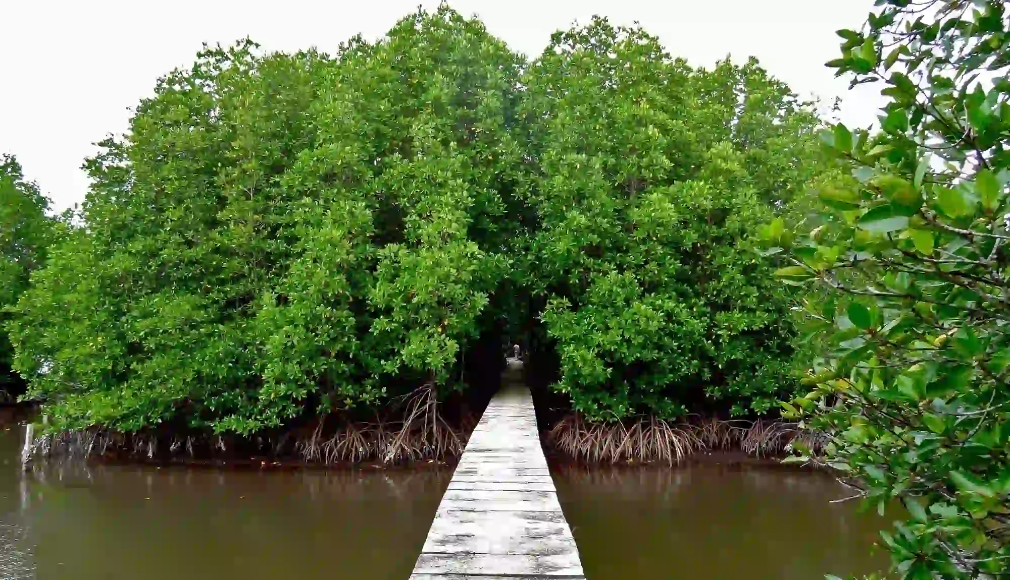 Peam Krasop Wildlife Sanctuary